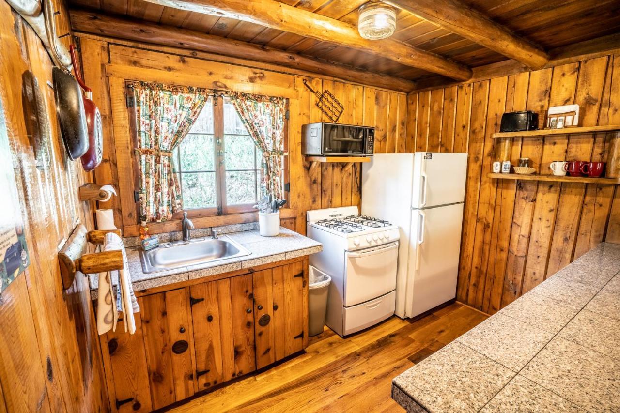 Colorado Bear Creek Cabins Evergreen Extérieur photo
