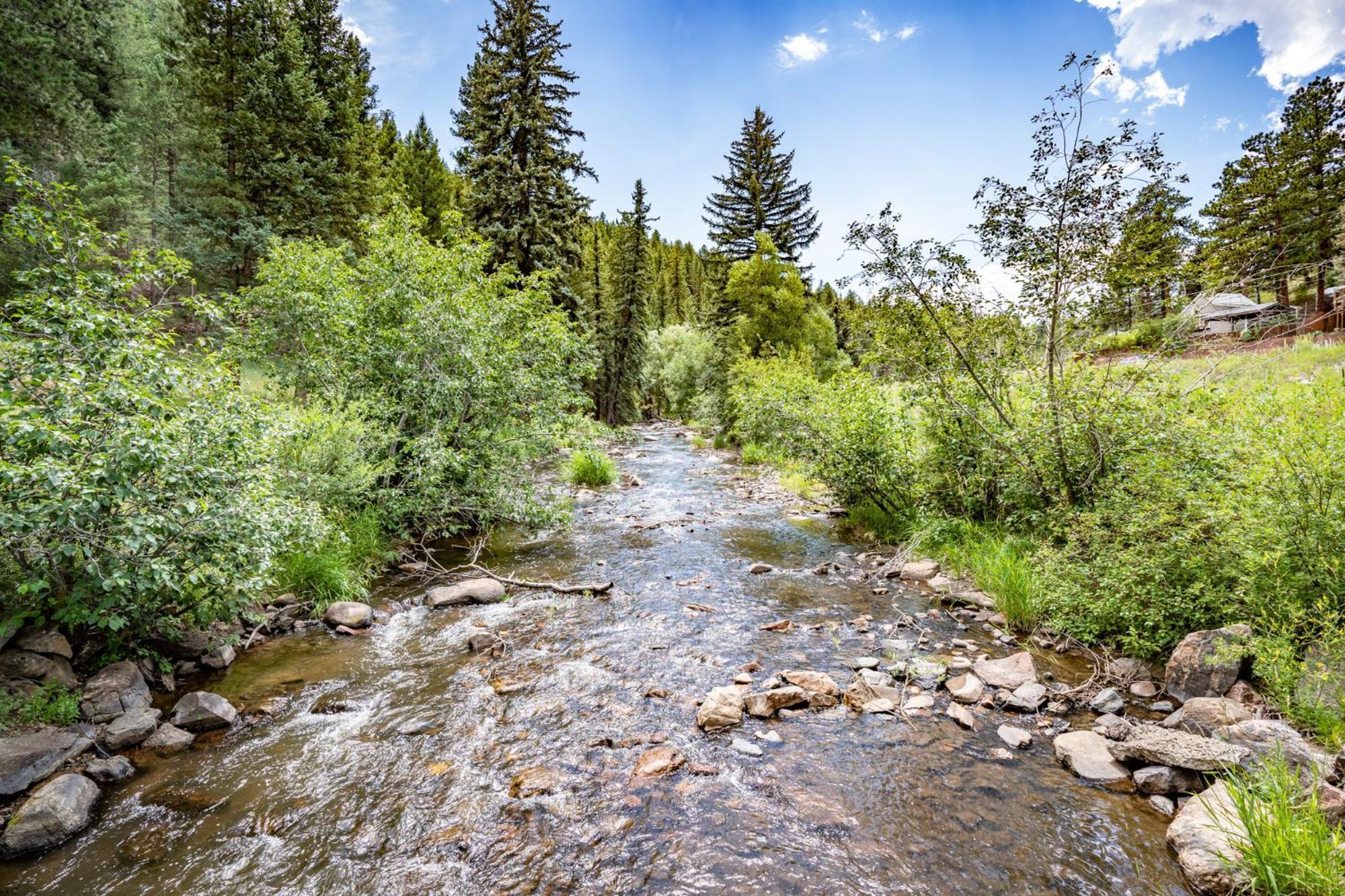 Colorado Bear Creek Cabins Evergreen Chambre photo